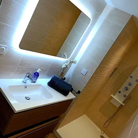 Spa&sauna Apartment Dardilly